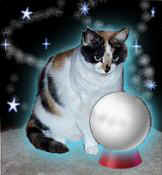 кошачий астролог Винки
